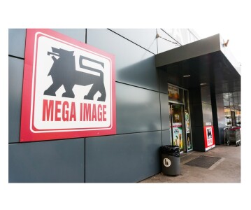 Joburi în IT: Compania-mamă a Mega Image angajează 250 de specialiști în ...