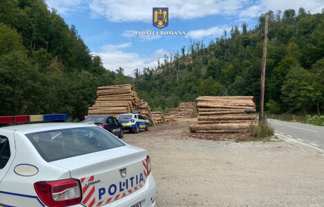 Cum a complotat mafia lemnului din Apuseni să elimine doi polițiști ...